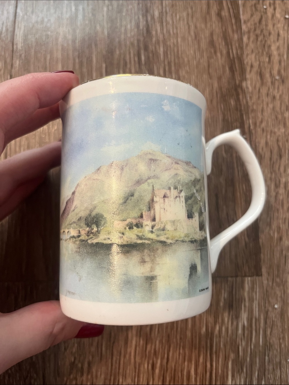 Vintage Eilean Dolan Mug 2001 Porcelain Scenic Castle Mug in Blue and White